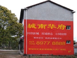 南安百分之90的人都不了解的农村墙体广告