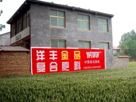 南安如何让墙体广告展现最大化效果