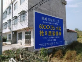 南安墙体广告质量分析
