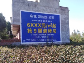 南安品牌公司青睐的墙体广告