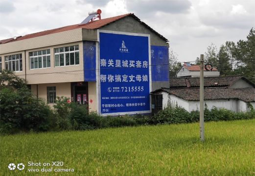 南安决定墙体广告价格的因素有哪些?